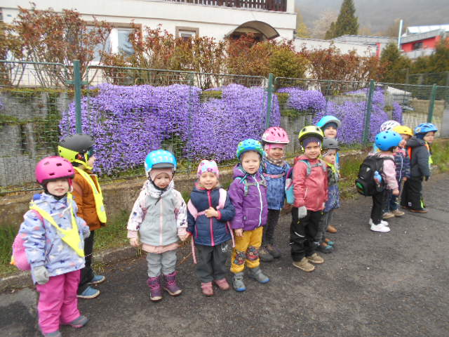 DSCN0543