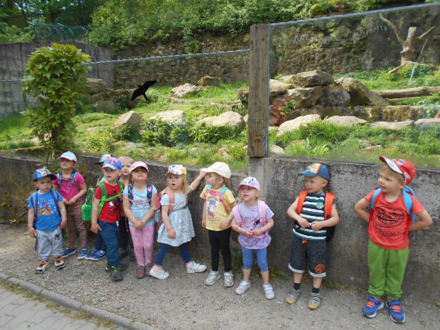DSCN0673